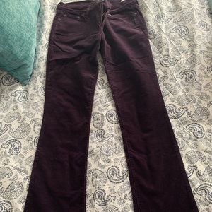 Slim bootcut plum cords